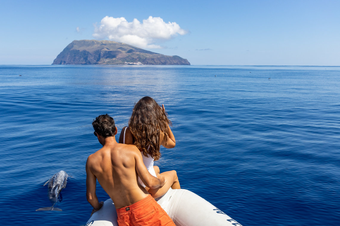 Trải nghiệm bơi cùng cá heo tại đảo Azores hút khách du lịch - Ảnh 6.