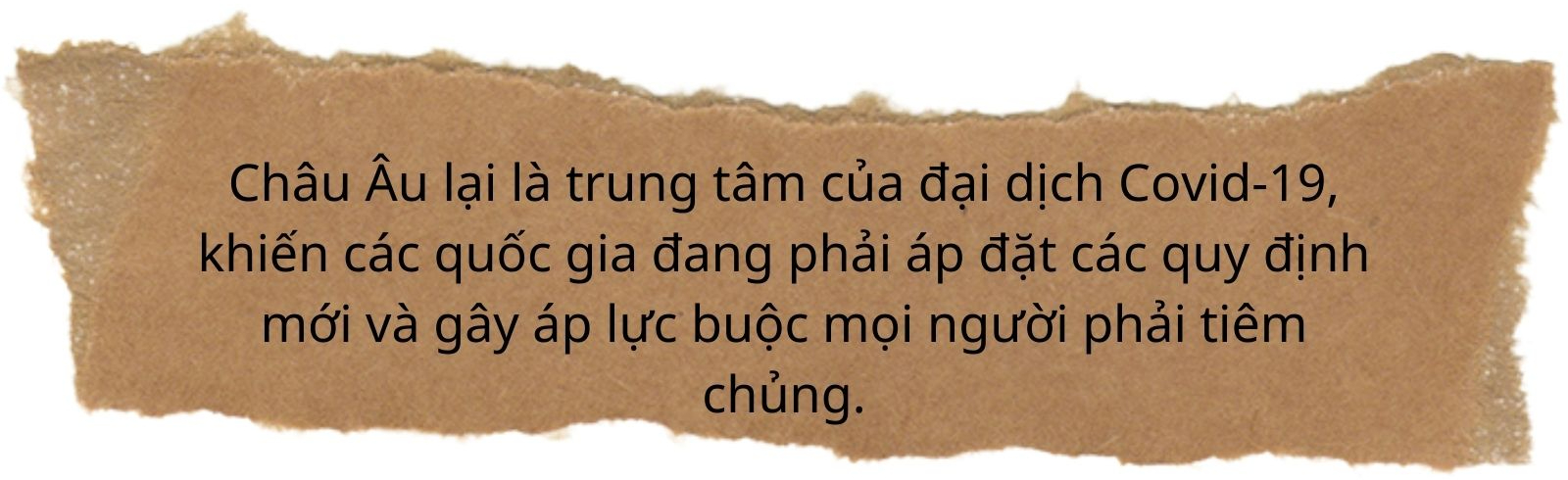 Làn sóng Covid-19 làm chao đảo châu Âu: 'Tiêm phòng, hồi phục hoặc chết' - Ảnh 1.