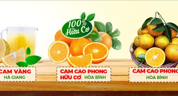 Chuyển động Nhà nông 24/11: Đắk Nông thiếu hụt nhân công thu hoạch cà phê do dịch Covid-19 - Ảnh 3.