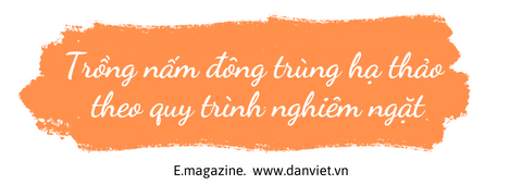 nông dân việt nam xuất sắc.png