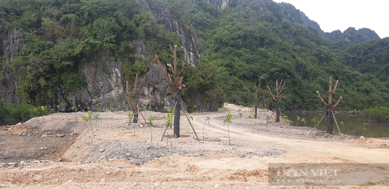 Xuất hiện những công trình &quot;ma&quot; bên dự án đường bao biển đẹp nhất Quảng Ninh - Ảnh 1.