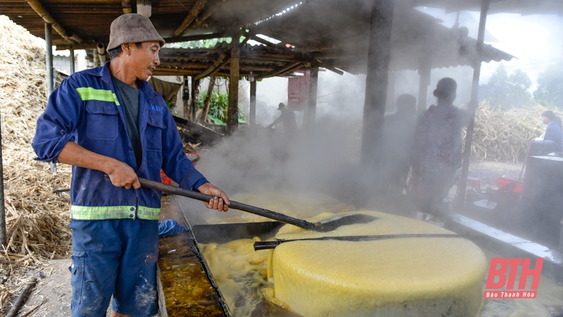 Thứ mật sóng sánh như màu cánh gián, thơm ngon, hấp dẫn là đặc sản nức tiếng xứ Thanh - Ảnh 1.