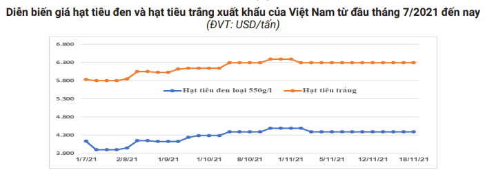 Đây là những lý do khiến giá tiêu &quot;kẹt&quot; tạm thời - Ảnh 1.