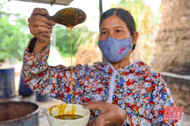 Thứ mật sóng sánh như màu cánh gián, thơm ngon, hấp dẫn là đặc sản nức tiếng xứ Thanh - Ảnh 4.