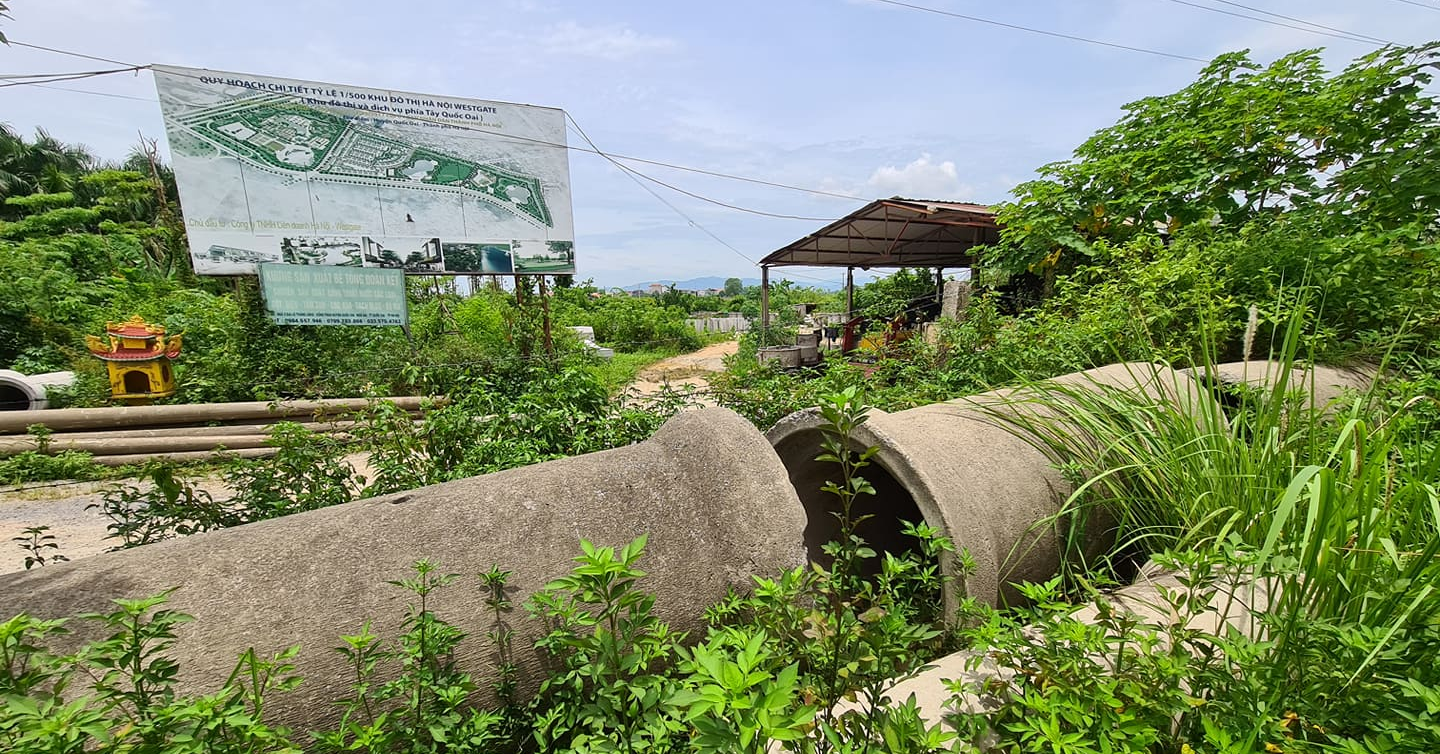 Read more about the article Doanh nghiệp “gom” đất, đầu cơ dự án tạo sự khan hiếm nguồn cung?