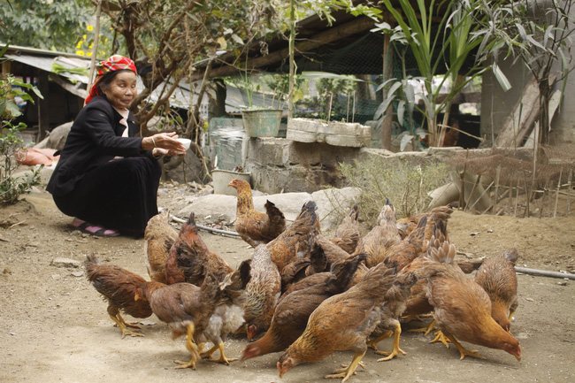 Gánh nặng về dinh dưỡng ở Việt Nam (bài 3): Những nỗ lực giảm đói về dinh dưỡng - Ảnh 1.