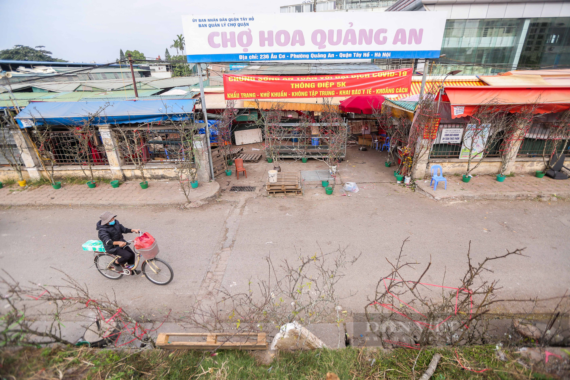 Lê rừng tiền chục triệu xuống núi phục vụ người dân chơi Tết sớm - Ảnh 7.