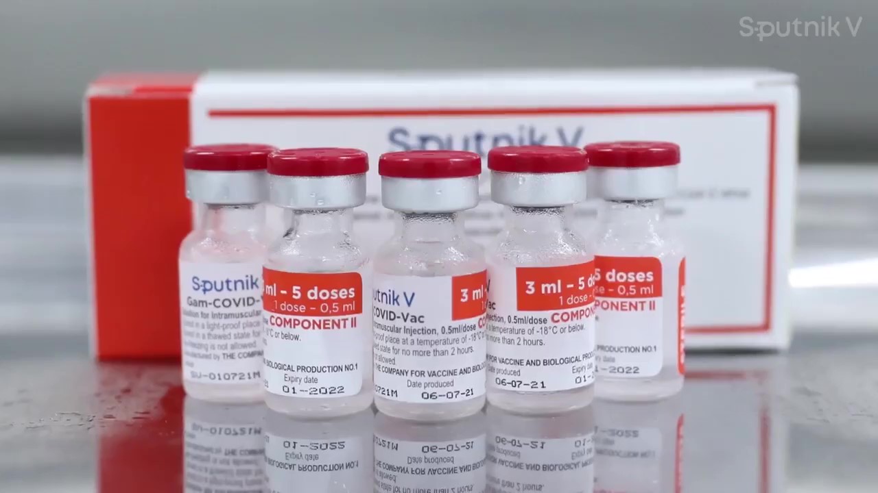 Vaccine Covid-19 Spunik do Việt Nam sản thành công sẽ được đưa vào tiêm chủng trong tháng 12 - Ảnh 3.