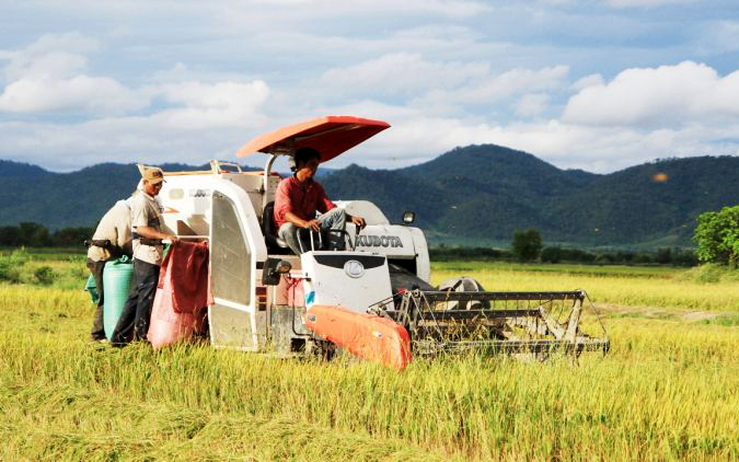 Xuất khẩu gạo đón làn sóng phục hồi - Ảnh 2.