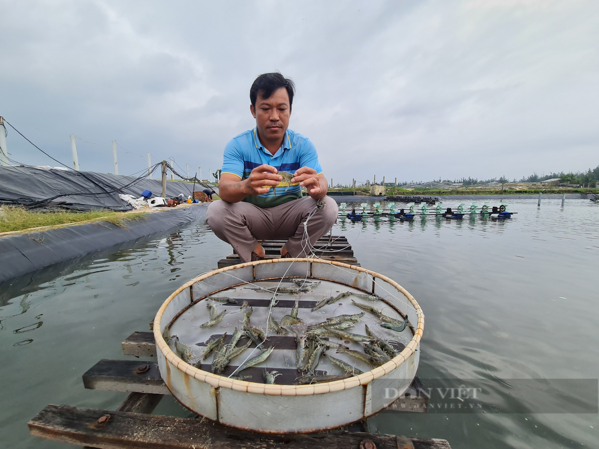 “Vua tôm” xứ Quảng trở thành nông dân Việt Nam xuất sắc    - Ảnh 6.