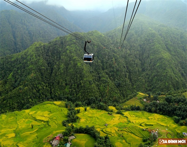 Thung lũng Mường Hoa mùa lúa chín - Ảnh 3.