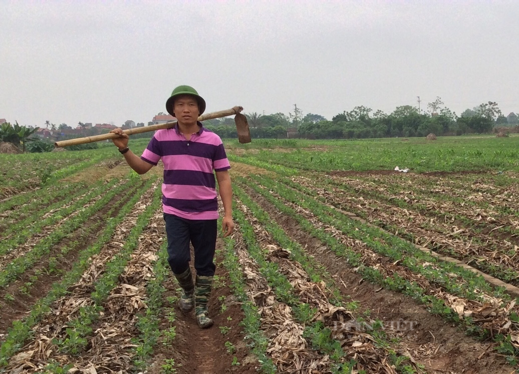 Hưng Yên: Chàng trai 8X đưa nghệ Việt sang Nhật Bản, Châu Âu được bình chọn là &quot;Nông dân Việt Nam xuất sắc 2021&quot; - Ảnh 2.