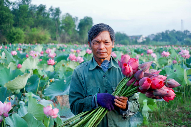 63 Nông dân Việt Nam xuất sắc 2021 là 63 câu chuyện làm giàu và sống đẹp - Ảnh 1.
