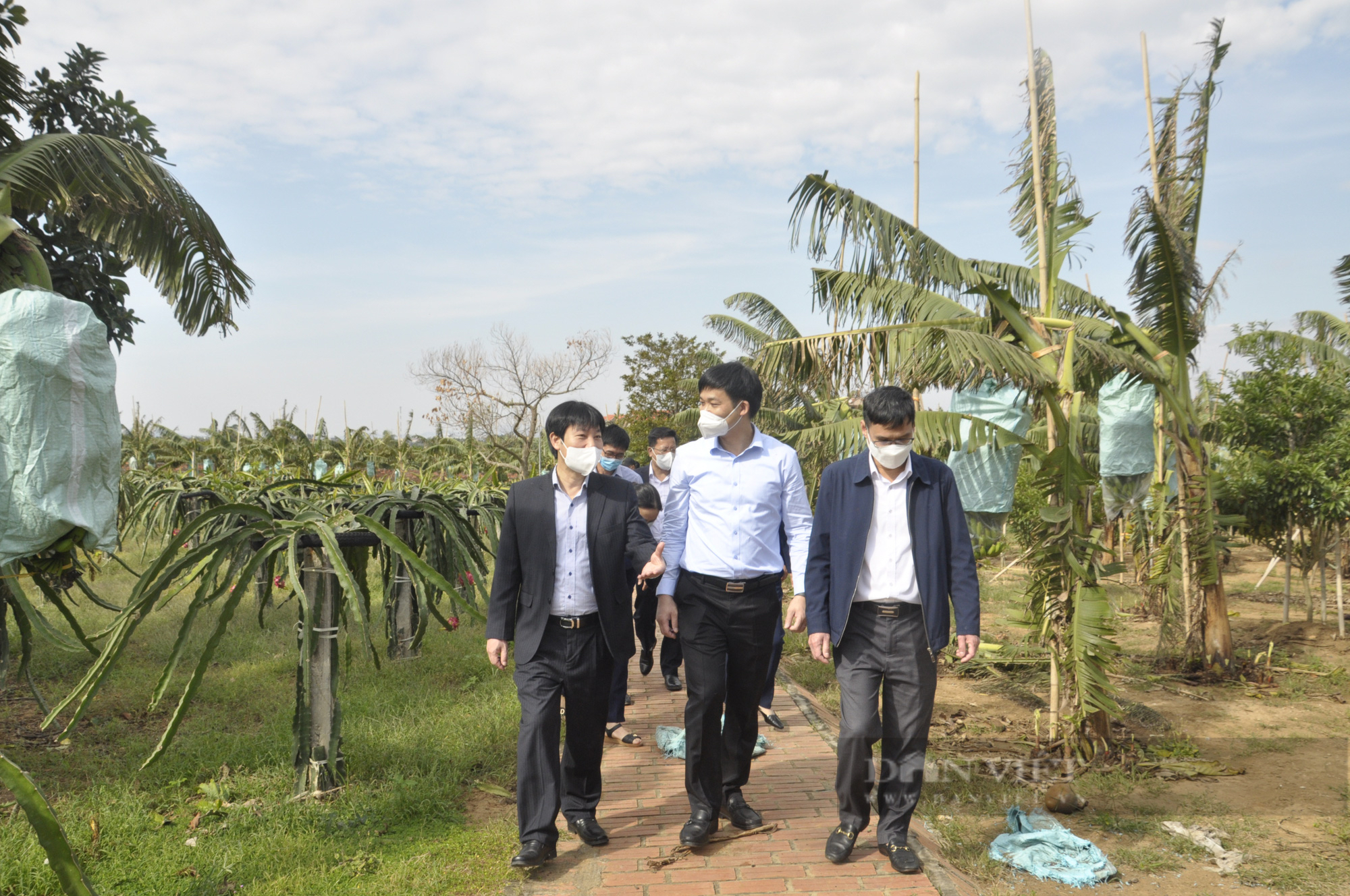 Phó Chủ tịch Hội Nông dân Việt Nam thăm mô hình ở Đông Triều, ấn tượng với xây dựng NTM nơi đây - Ảnh 4.