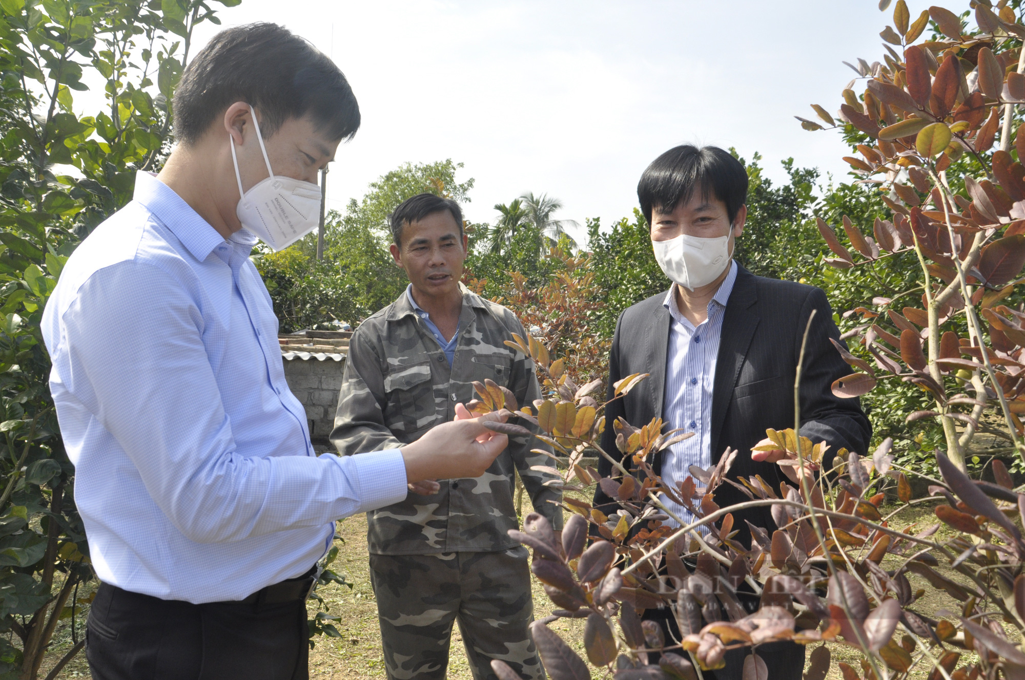 Phó Chủ tịch Hội Nông dân Việt Nam thăm mô hình ở Đông Triều, ấn tượng với xây dựng NTM nơi đây - Ảnh 6.