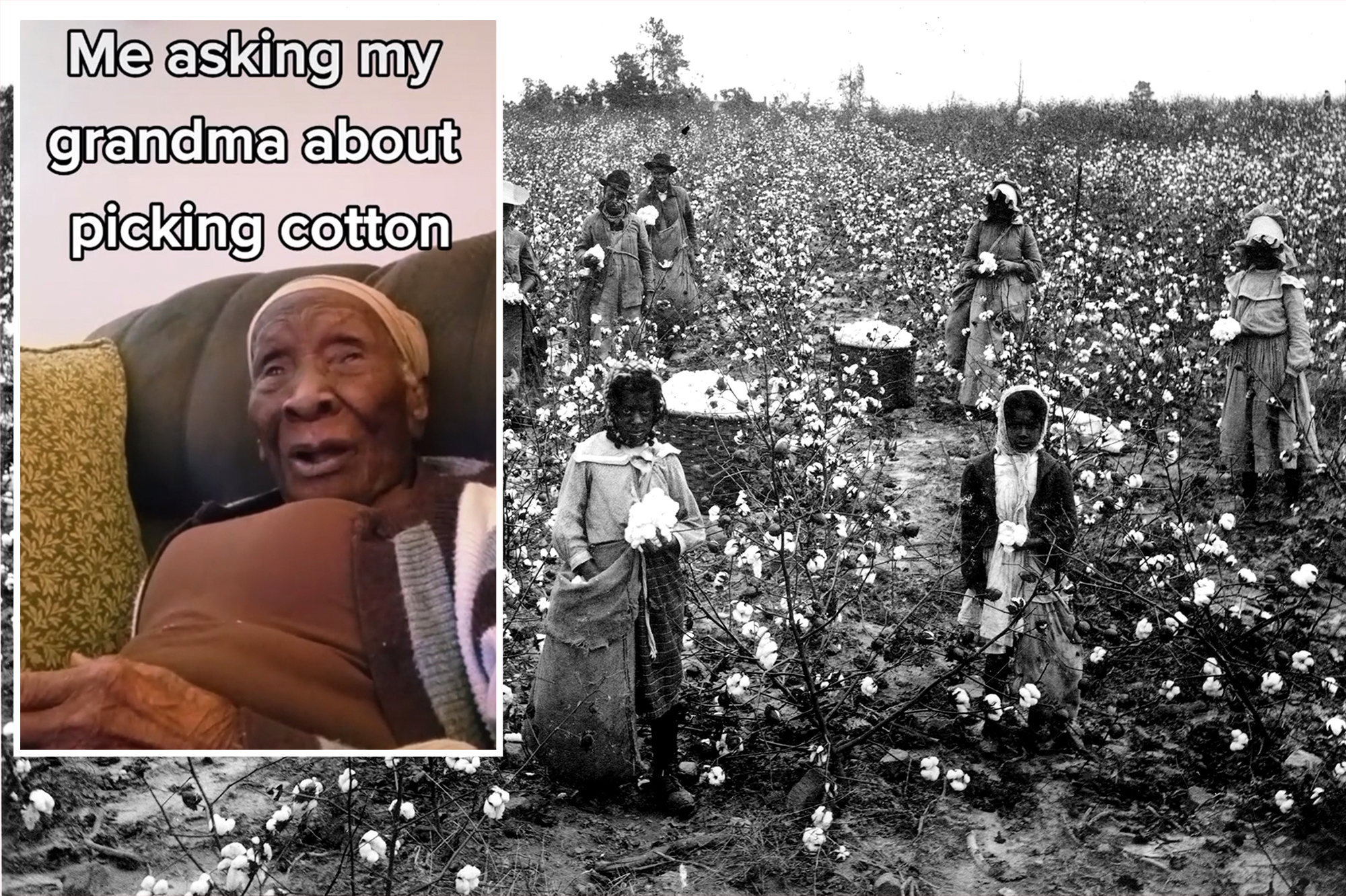 Madie Scott bước sang tuổi 104 vào ngày 8 tháng 12, bắt đầu 'làm ruộng' hái bông ở Georgia khi mình 12 tuổi. Ảnh: @AFP.