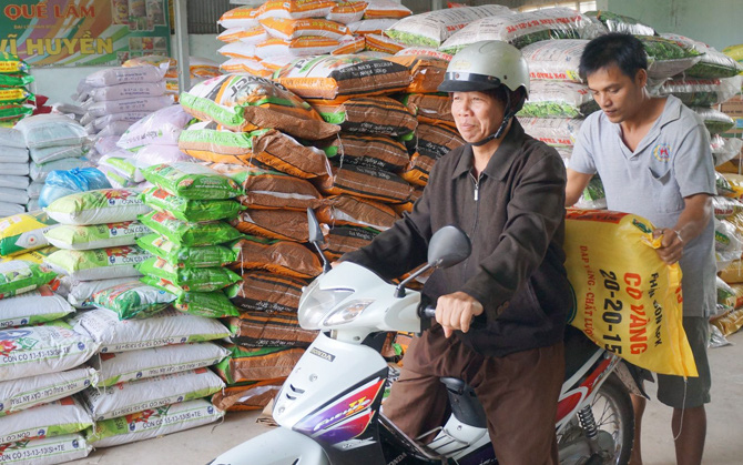 Nông dân tỉnh Tây Ninh ăn ngủ không yên vì giá phân tăng gấp đôi mà giá nông sản...thấp