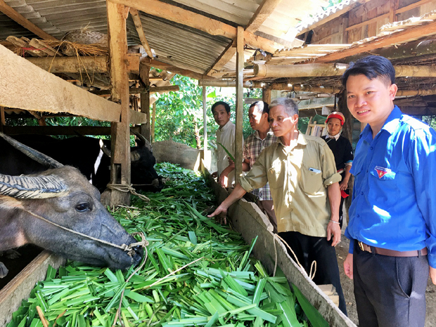 Hà Giang: Trưởng thôn là Nông dân Việt Nam xuất sắc 2021, hiến 3,5 nghìn m2 đất xây trường, mở đường, làm kinh tế giỏi - Ảnh 1.