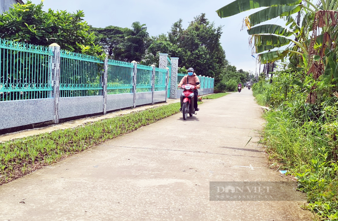 Bạc Liêu: Lão nông người Khmer thu nửa triệu/ngày nhờ vườn ổi không xịt thuốc trừ sâu - Ảnh 10.