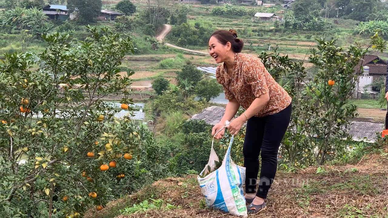 Bắc Kạn: Thực hiện mô hình VAC, nông dân thôn vùng cao có của ăn, của để - Ảnh 2.