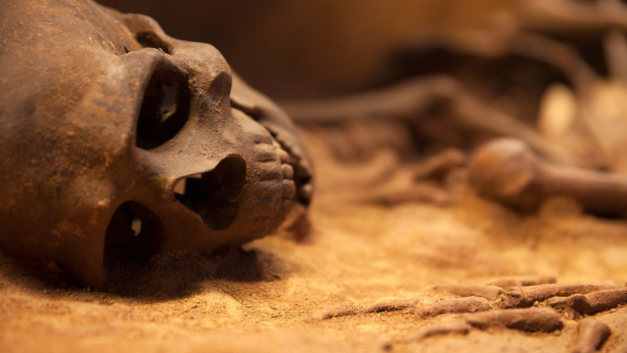 Các nhà khảo cổ kinh hoàng trước những bí mật 1.000 năm tuổi của nền văn minh Peru - Ảnh 1.