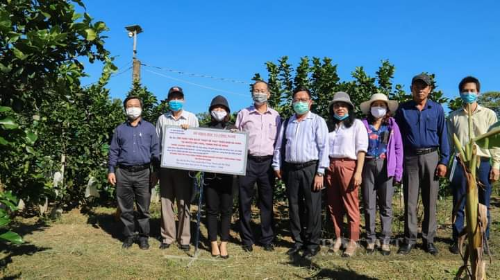 Đà Nẵng: Hàng trăm nông dân ở Hòa Ninh đổi đời nhờ trồng loại cây đặc sản  - Ảnh 5.