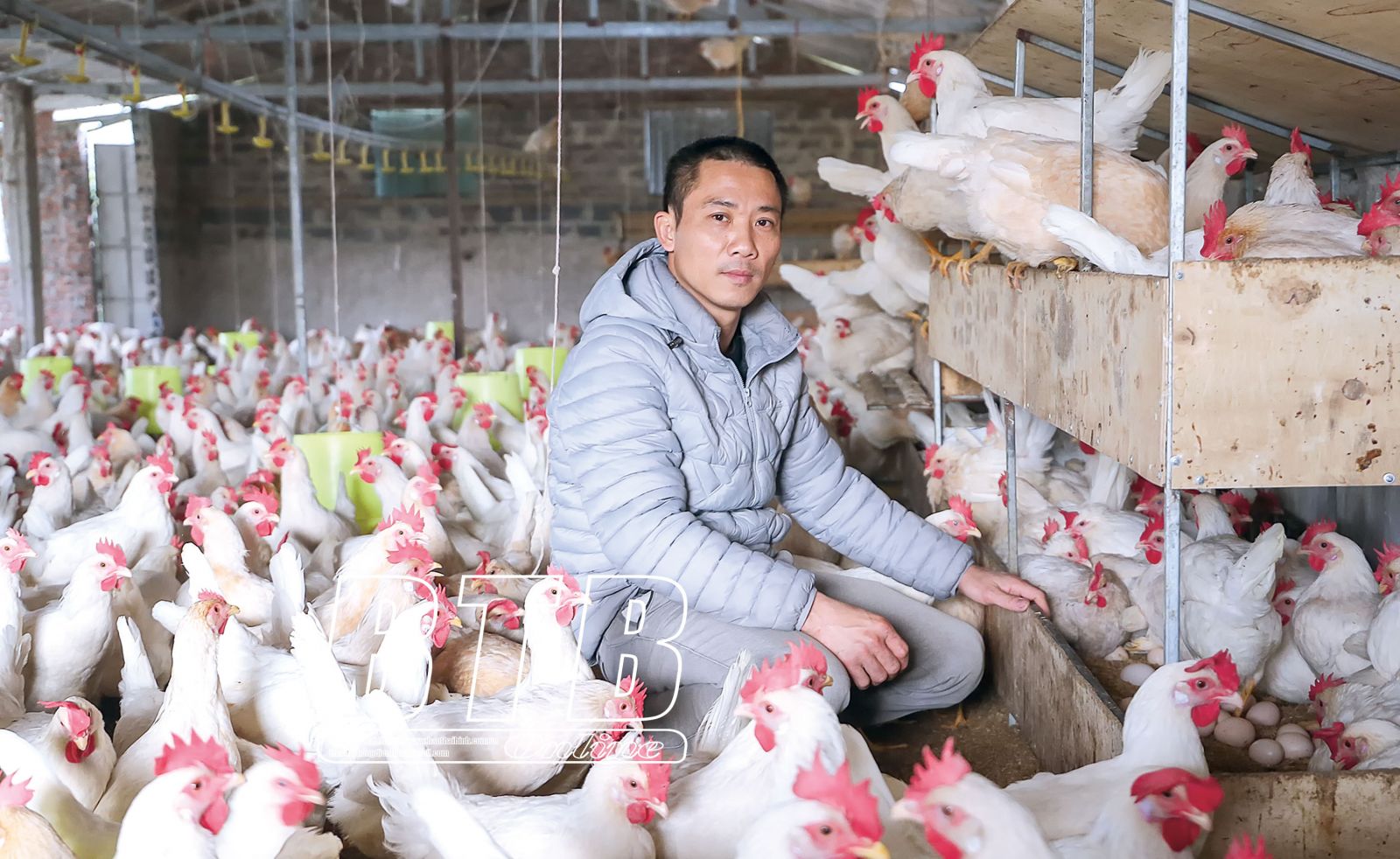 Thái Bình: Những nông dân tỷ phú, có nông dân trồng cây cảnh, nuôi gà giống ngoại mà giàu hẳn lên - Ảnh 3.