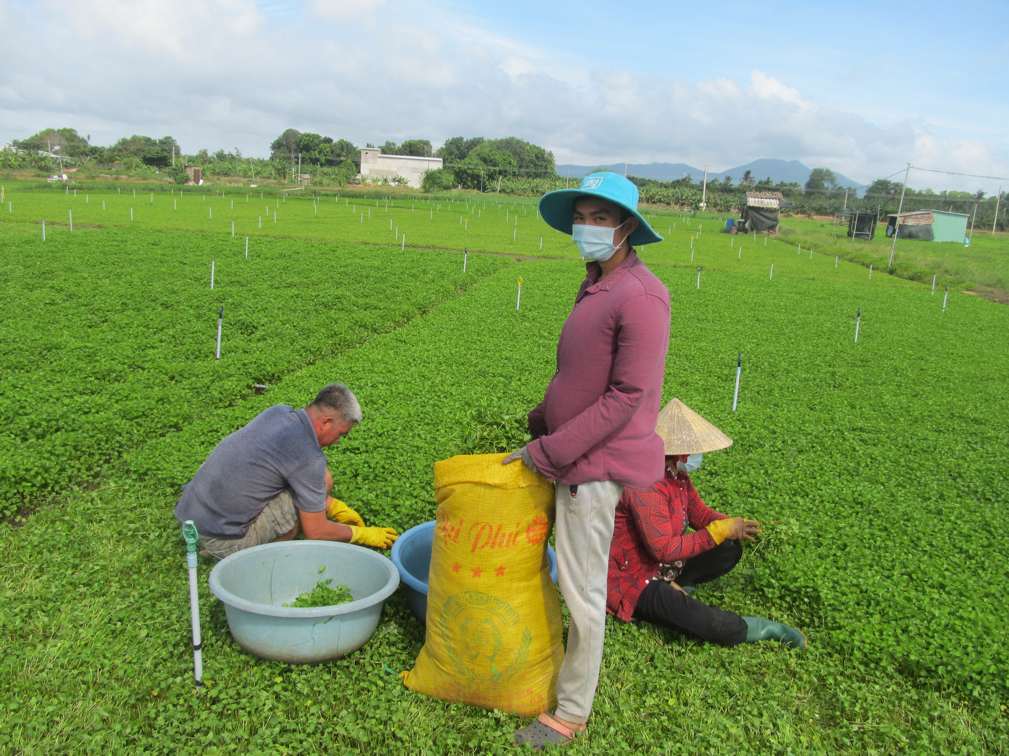 Hội Nông dân 10 tỉnh, thành cụm thi đua số 6: Chủ động đổi mới để hỗ trợ nông dân nhiều hơn - Ảnh 2.