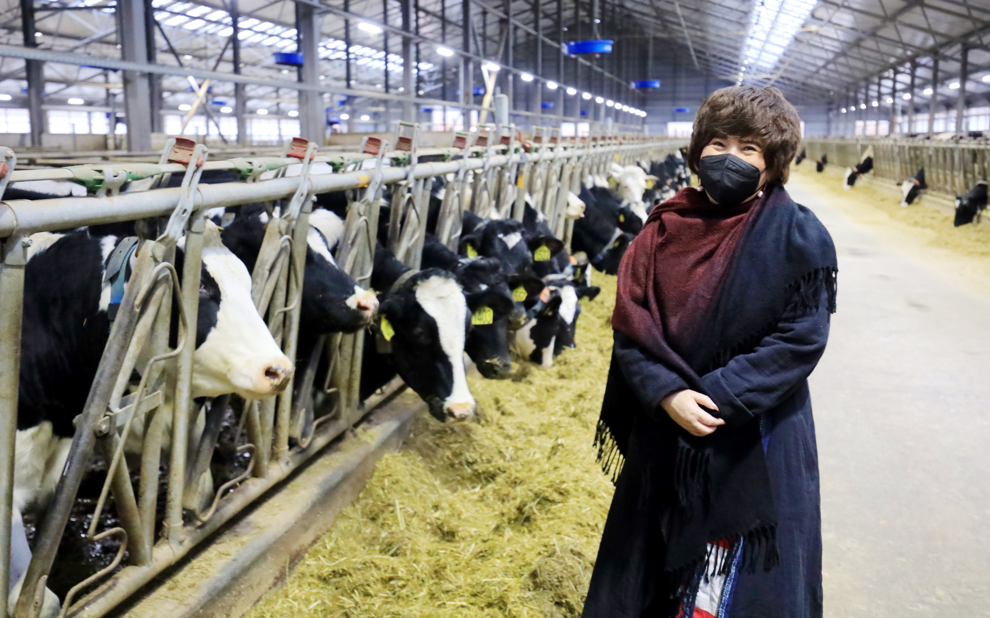 Tổ hợp chăn nuôi bò sữa và chế biến sữa của TH tại Nga: Điểm sáng trong quan hệ kinh tế Việt- Nga