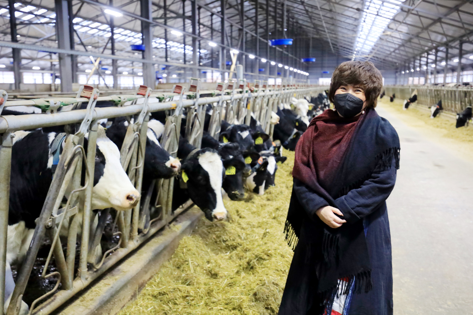 Tổ hợp chăn nuôi bò sữa và chế biến sữa của TH tại Nga: Điểm sáng trong quan hệ kinh tế Việt- Nga - Ảnh 3.