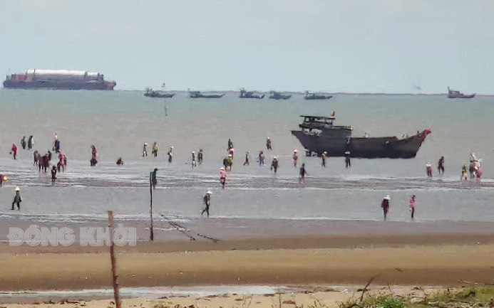 Dân xã này của tỉnh Bến Tre ra bãi biển bắt con gì bán mà chỉ trong tháng 11 đã thu về hơn 27 tỷ?