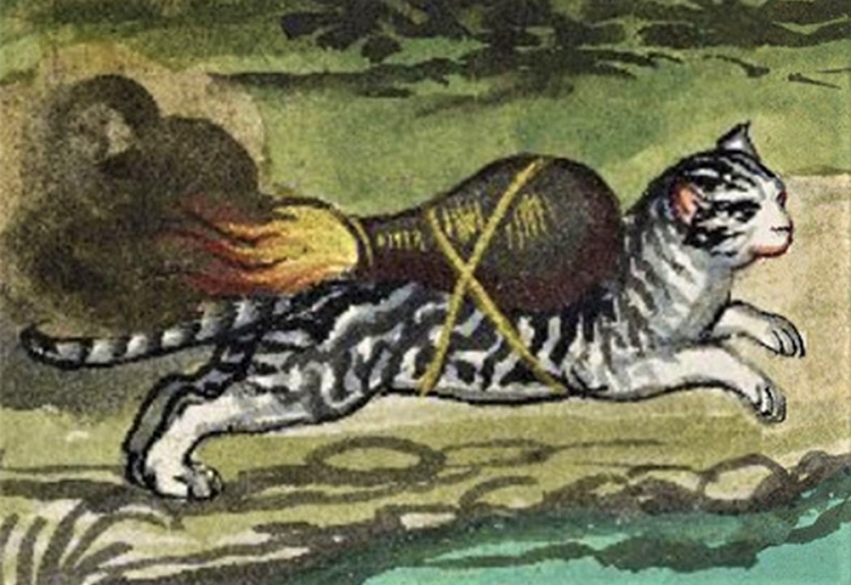 Kỳ lạ mèo từng được sử dụng làm “tên lửa” ở thời Trung Cổ - Ảnh 1.