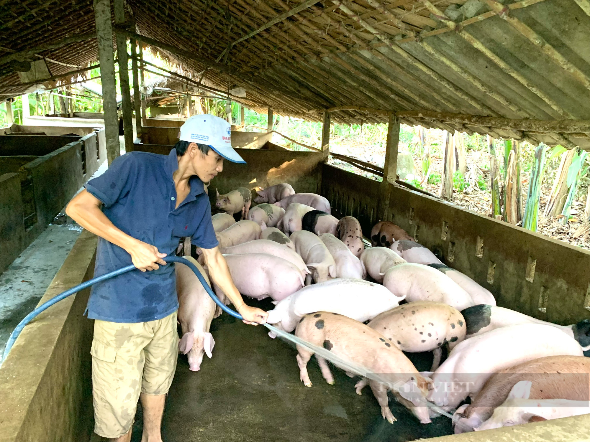 Quảng Bình kêu gọi người dân không nên &quot;quay lưng&quot; với thịt lợn - Ảnh 2.