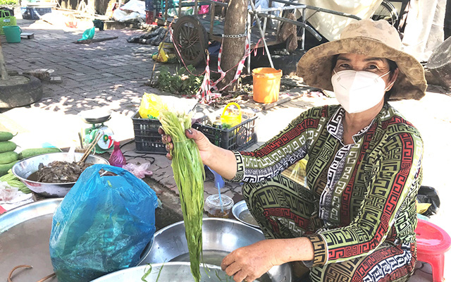 Sản vật mùa nước nổi Đồng Tháp: Thứ rau dại tối ngày "lặn ngụp" dưới đồng, ai ngờ nhổ lên bán rất nhanh