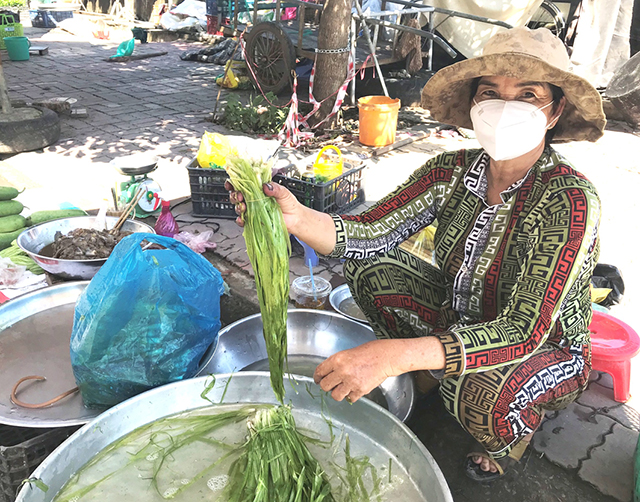 Sản vật mùa nước nổi Đồng Tháp: Thứ rau dại tối ngày &quot;lặn ngụp&quot; dưới đồng, ai ngờ nhổ lên bán rất nhanh - Ảnh 1.