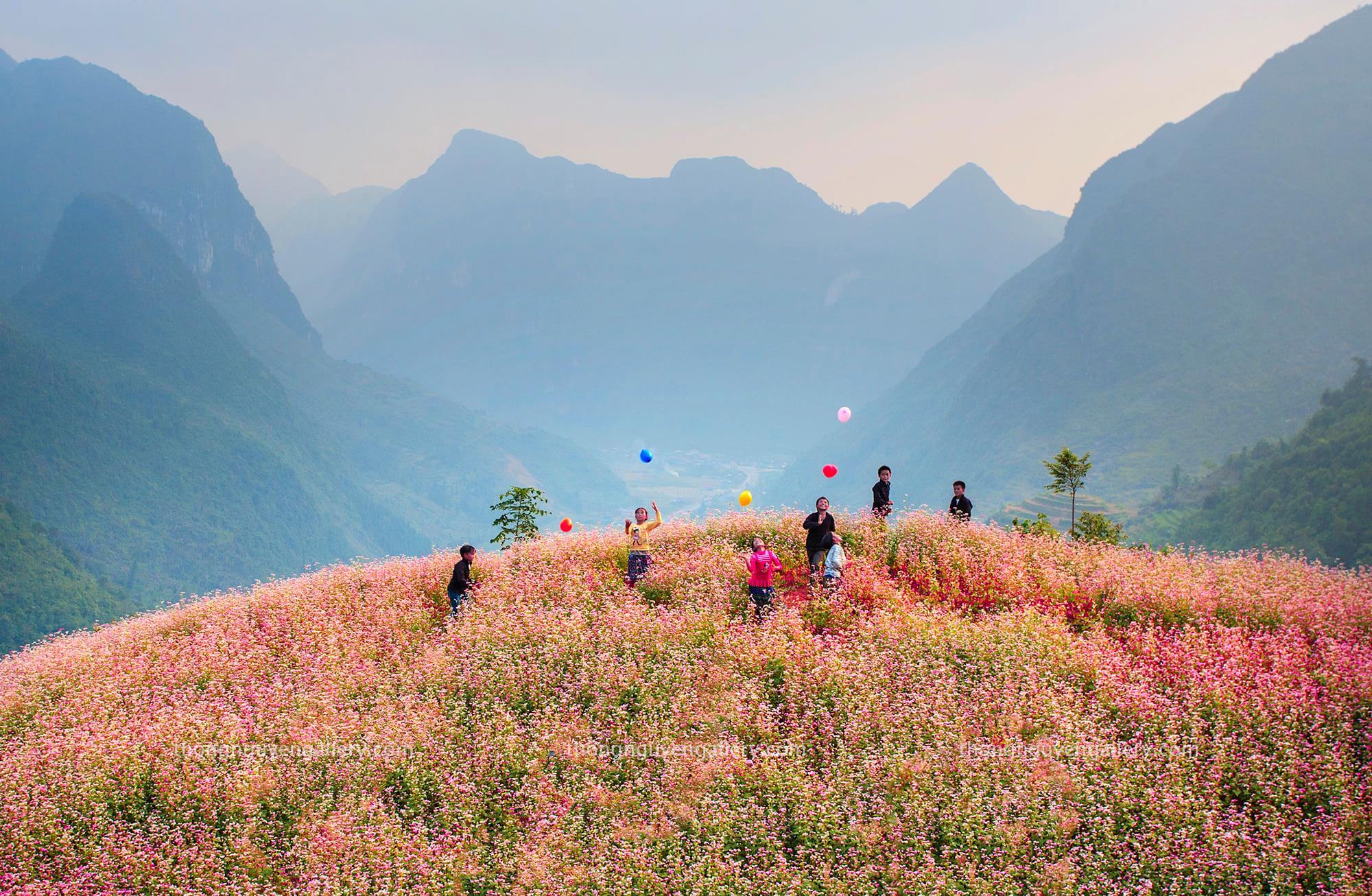National Geographic Hà Giang 2022: National Geographic đã chọn Hà Giang làm địa điểm chụp ảnh trong năm