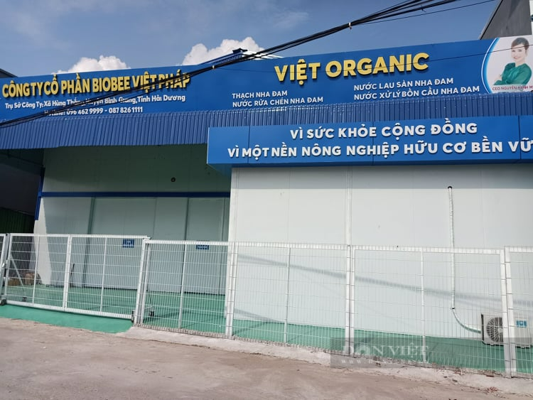 Hải Dương: Quyết định dừng dự án “phủ xanh nha đam đất Việt” của Công ty Biobee Việt Pháp - Ảnh 1.