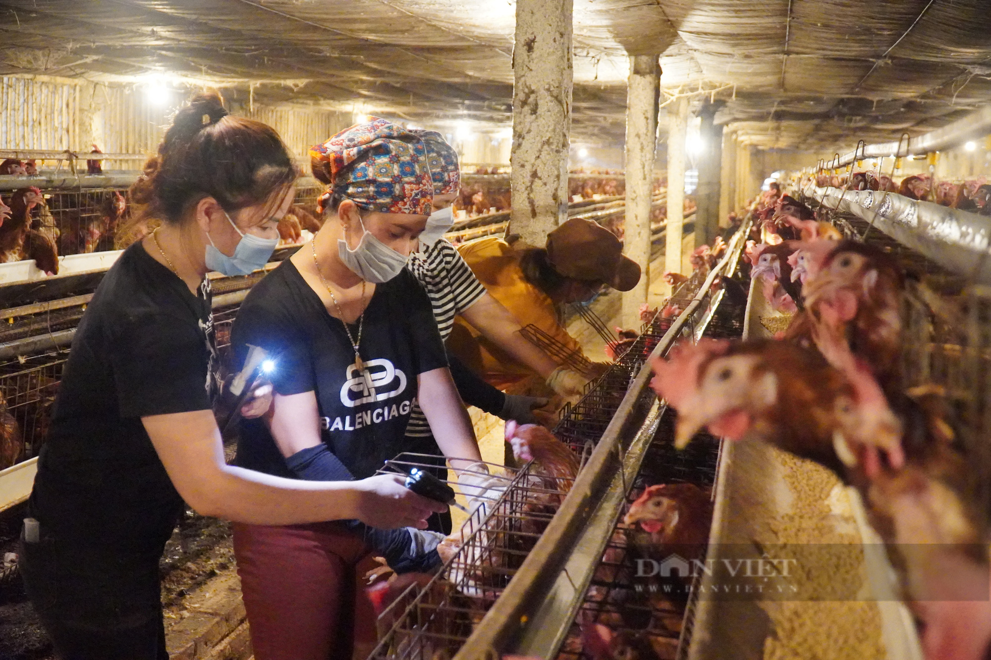 Nông nghiệp công nghệ cao ở Bắc Ninh: Nông dân có tiền tỷ nhờ nuôi gà, trồng rau theo cách này - Ảnh 1.