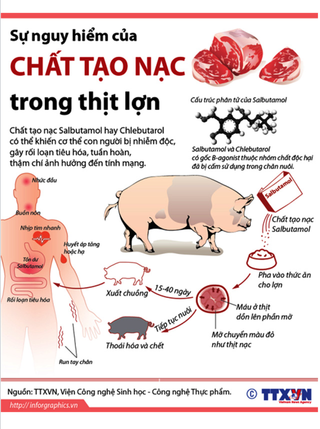 Thứ trưởng Bộ Y tế Trương Quốc Cường và những lình xình liên quan đến việc cấp phép chất tạo nạc thịt lợn Salbutamol  - Ảnh 2.