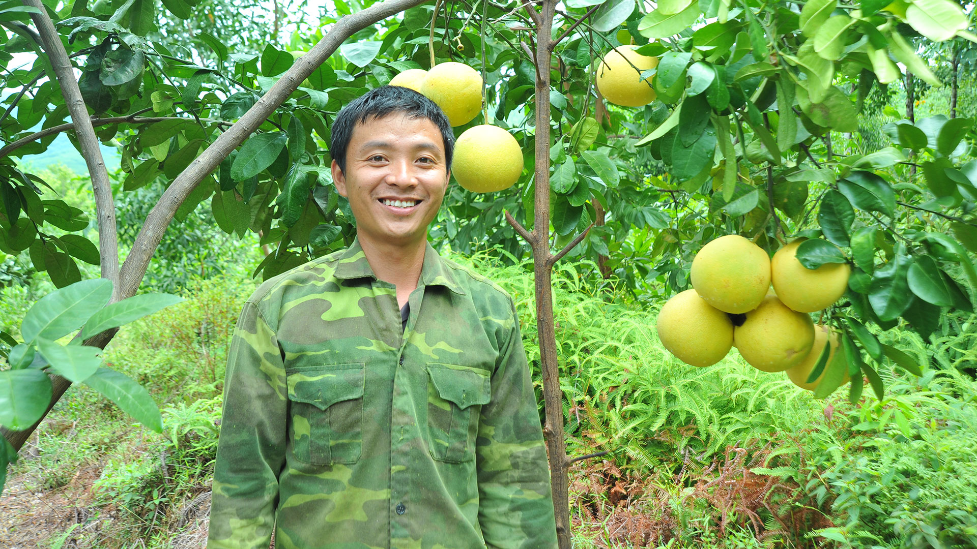 Dịch Covid-19: Hội giúp nông dân tự tin bán hàng trên mạng xã hội - Ảnh 2.