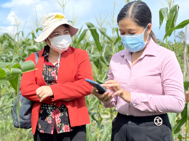 Dịch Covid-19: Hội giúp nông dân tự tin bán hàng trên mạng xã hội - Ảnh 3.