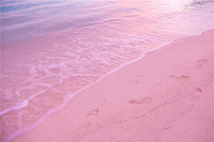 Bãi biển màu hồng phấn lãng mạn bậc nhất thế giới - Ảnh 4.