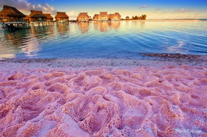 Bãi biển màu hồng phấn lãng mạn bậc nhất thế giới - Ảnh 9.