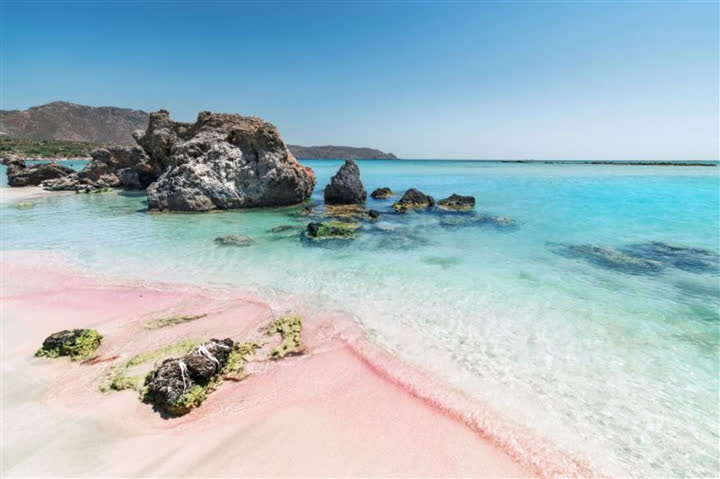 Bãi biển màu hồng phấn lãng mạn bậc nhất thế giới - Ảnh 7.
