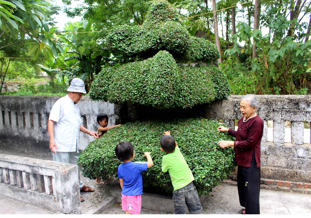 Những cây duối thế, dáng độc đáo ở xứ Nghệ: Cây hình nấm, cây hình kiệu, đáng chú ý cây hình chùa Một Cột - Ảnh 8.