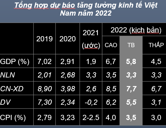 Tăng trưởng GDP cả năm 2021 dự báo chỉ đạt 1,9%? - Ảnh 3.