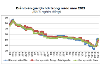 Ngành chăn nuôi lợn cuối năm 2021 đang đối mặt với điều gì? - Ảnh 3.