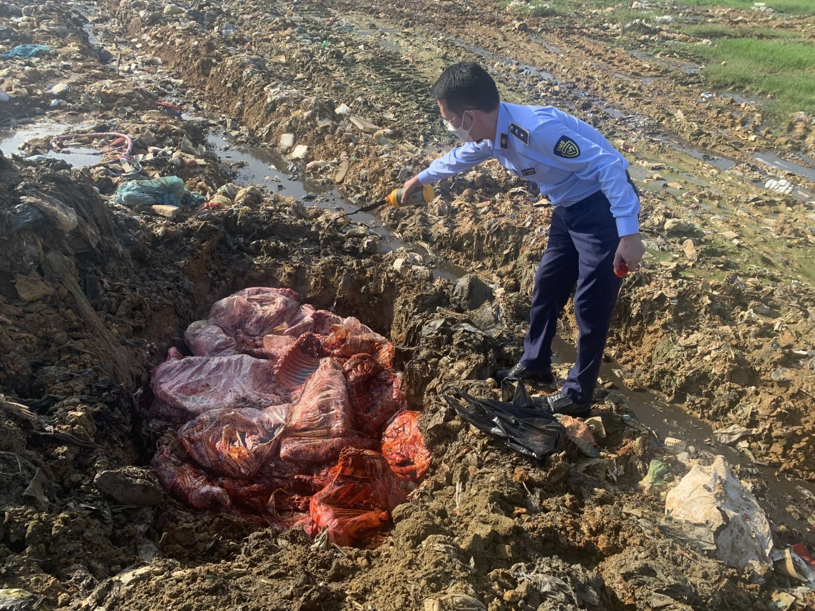 Kinh hoàng: 650kg thịt sườn lợn thối sắp tuồn ra thị trường bị thu giữ ở Nghệ An - Ảnh 2.