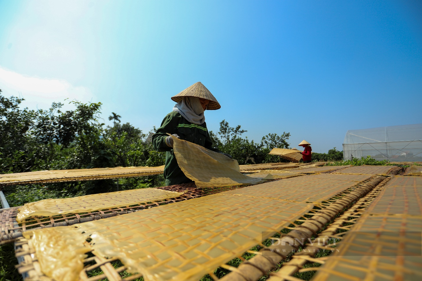 Mỳ chũ Trại Lâm: Chấp nhận chi phí cao để sản phẩm vươn xa - Ảnh 1.