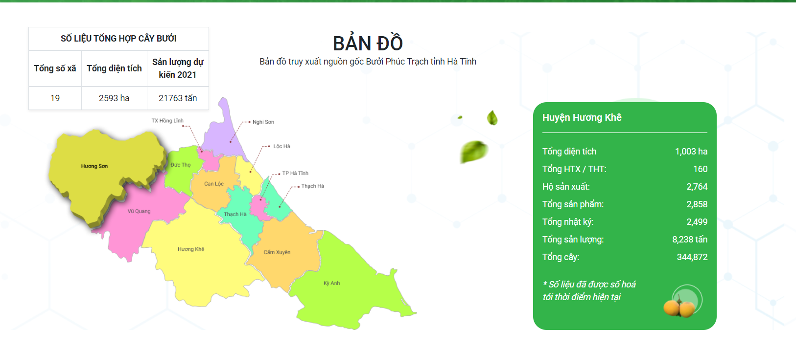 Nông sản Việt “chuyển mình” sau đại dịch Covid-19 - Ảnh 4.